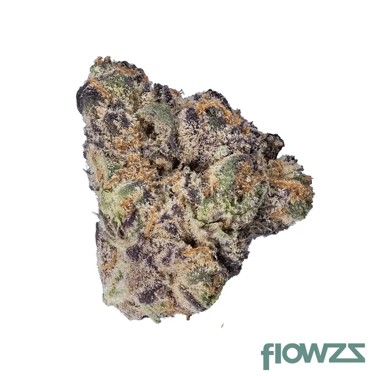 enua-33-1-ggz-ca-gogurtz