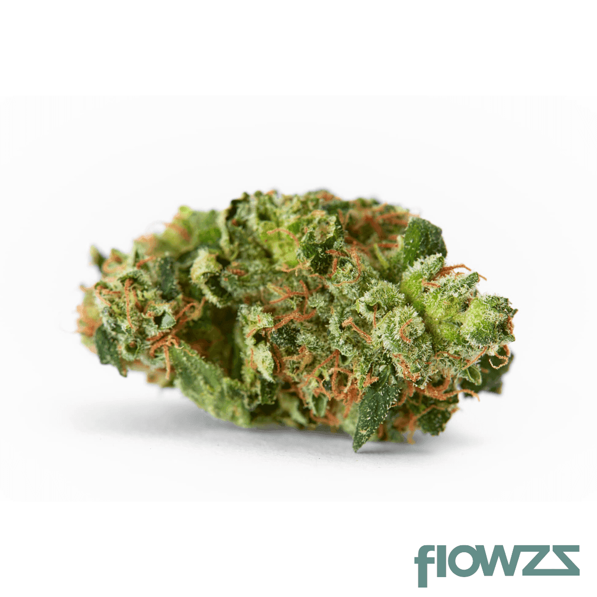 cannamedical-cm-24-1-spritzer-blue-cookies-spritzer
