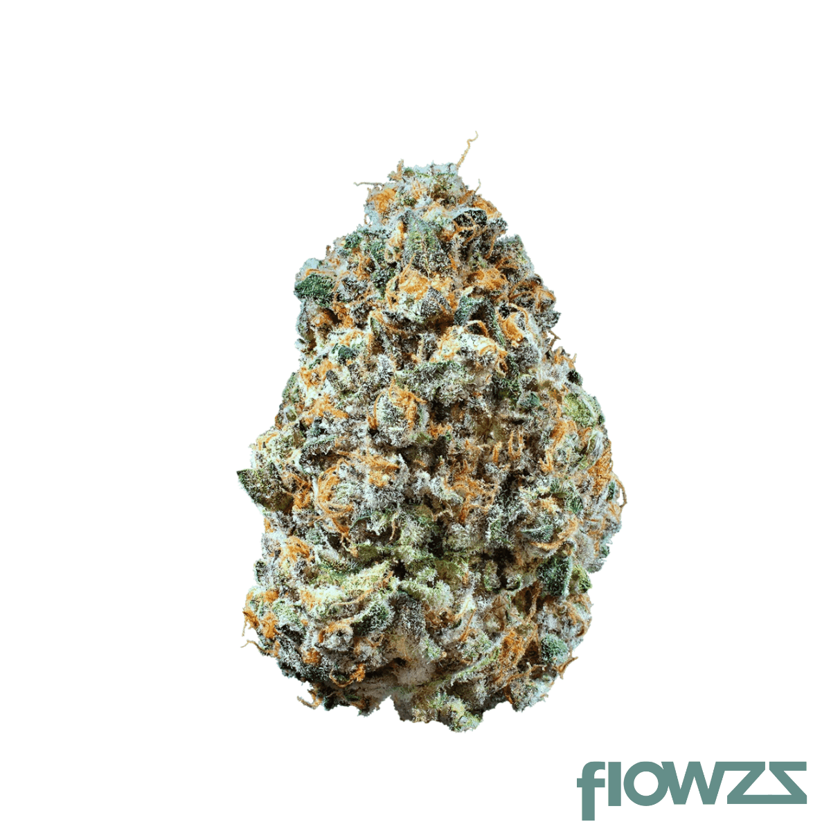 cannamedical-hybrid-forte-nm-rainbow-jungle