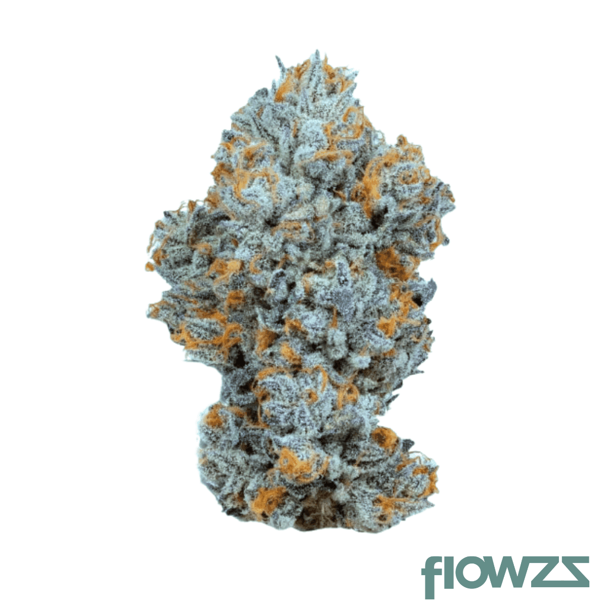 remexian-25-1-biscotti-mintz