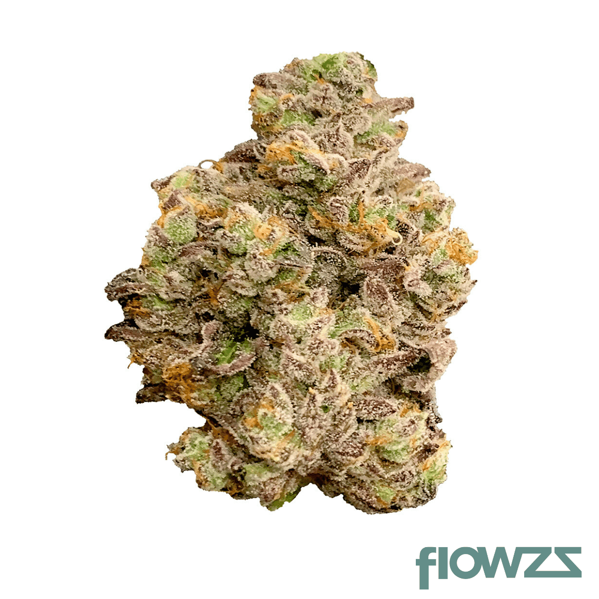 demecan-regular-drop-25-01-la-wp-la-wedding-pop