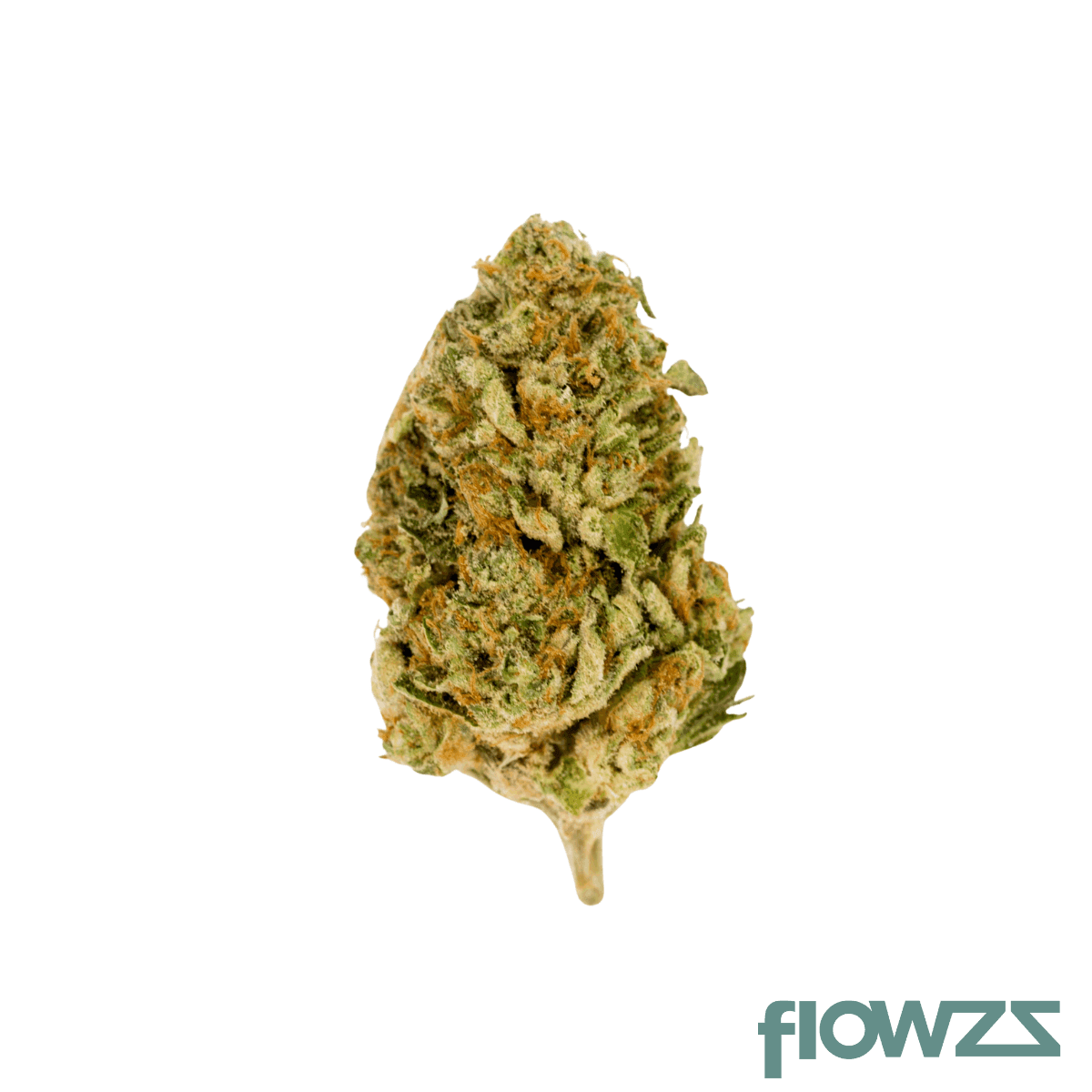 bava-med-23-1-mim-co-mimosa-cookies