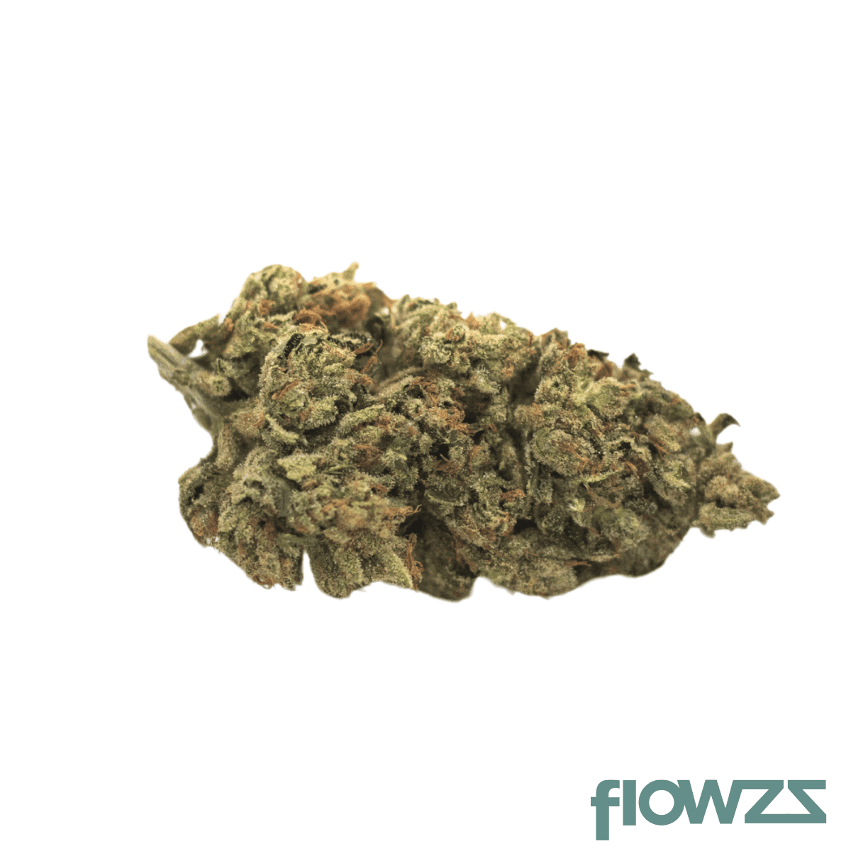 nice-22-1-js-jack-skunkset