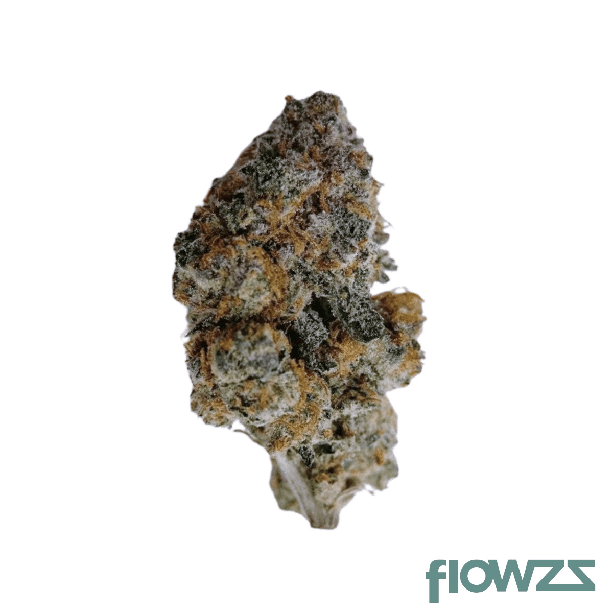 cannamedical-cm-30-1-ginger-cookies