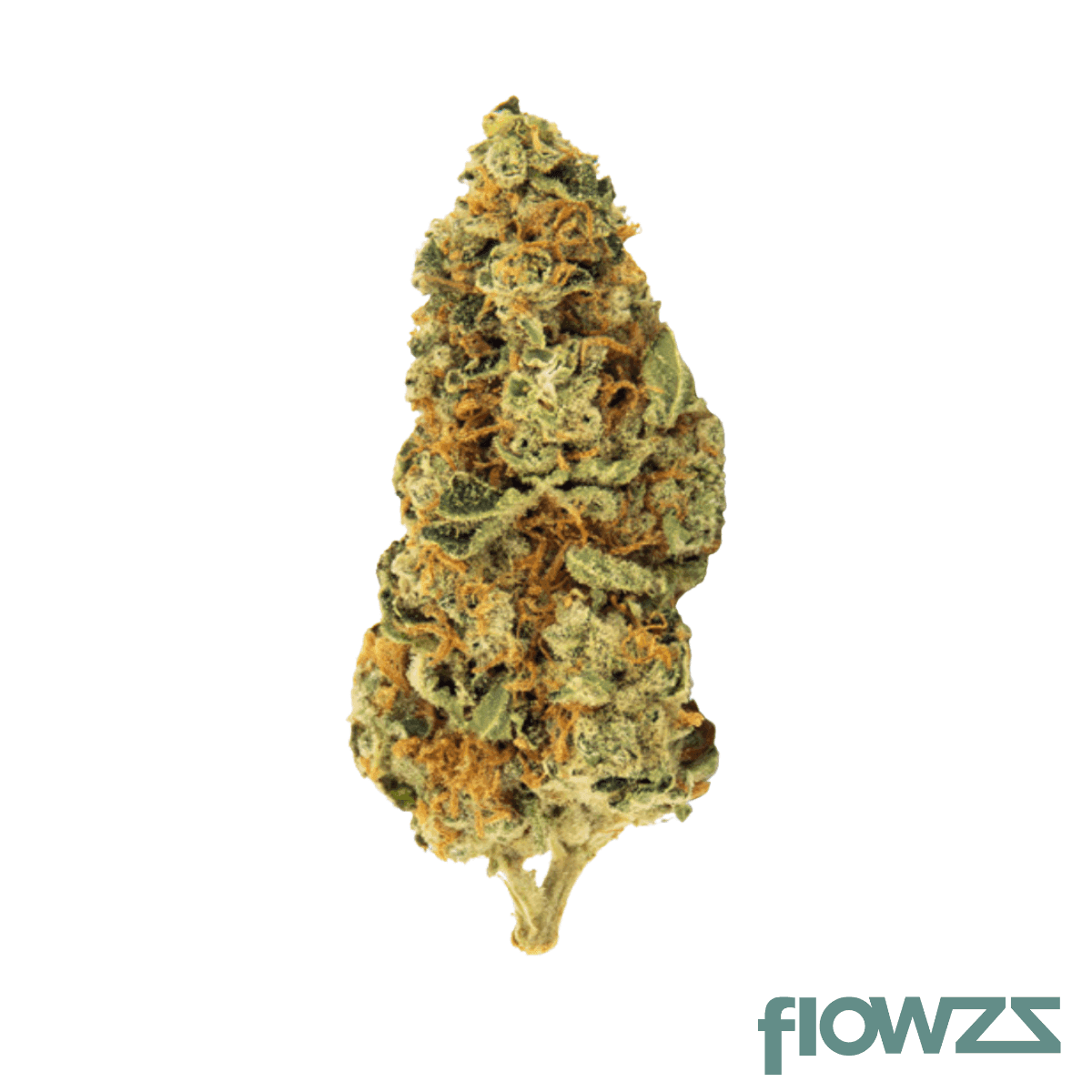 hexa23-cannabis-flower-iberian-icecream-35