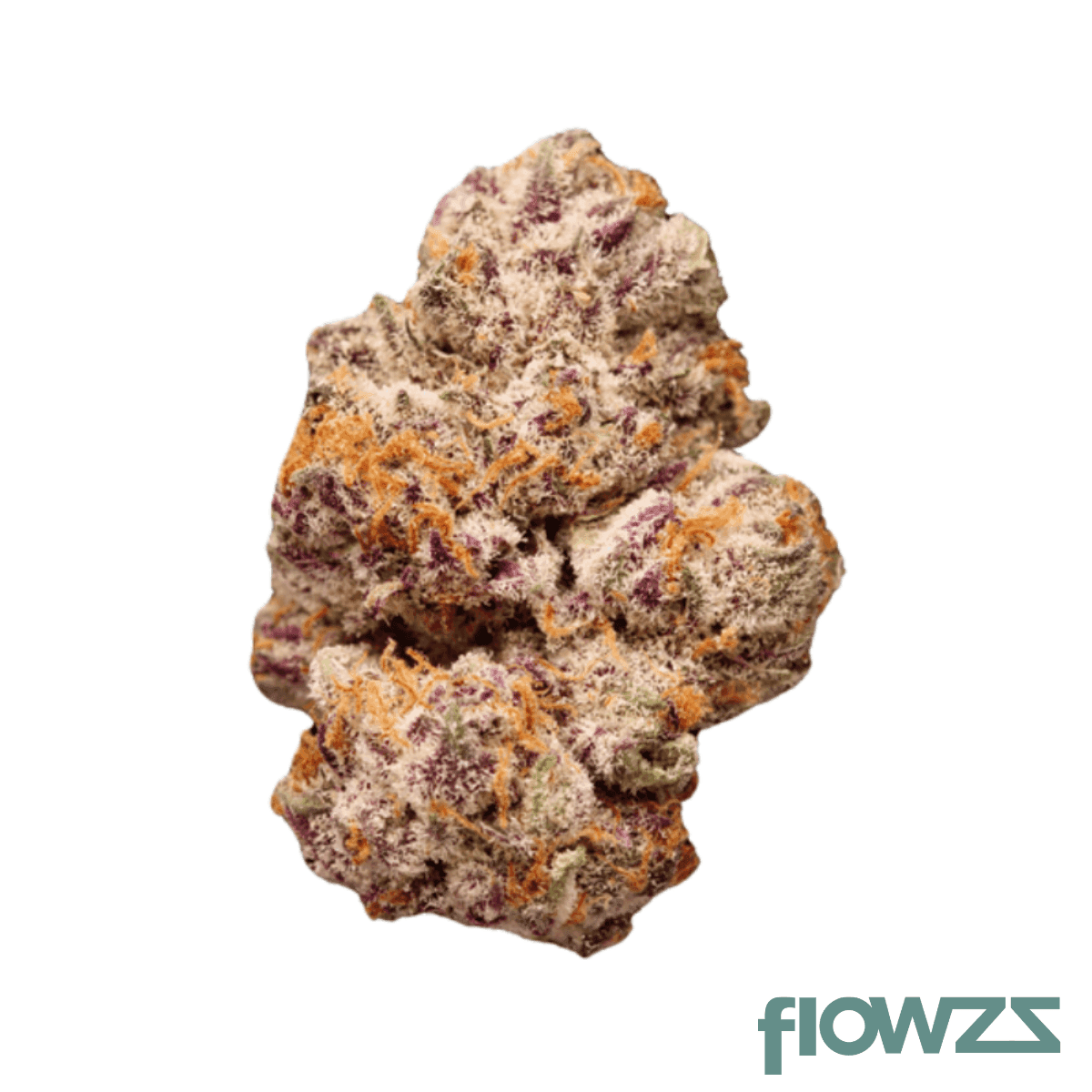 nedcann-ghc-22-1-chemical-bride