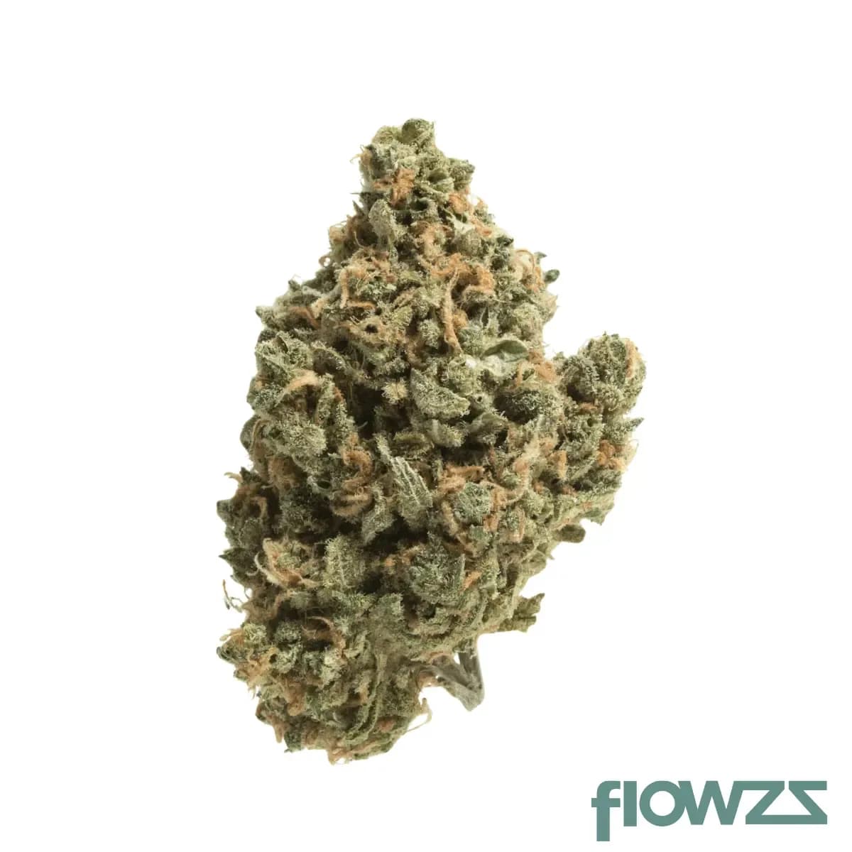 imc-gum-thc-26-selected-clownz