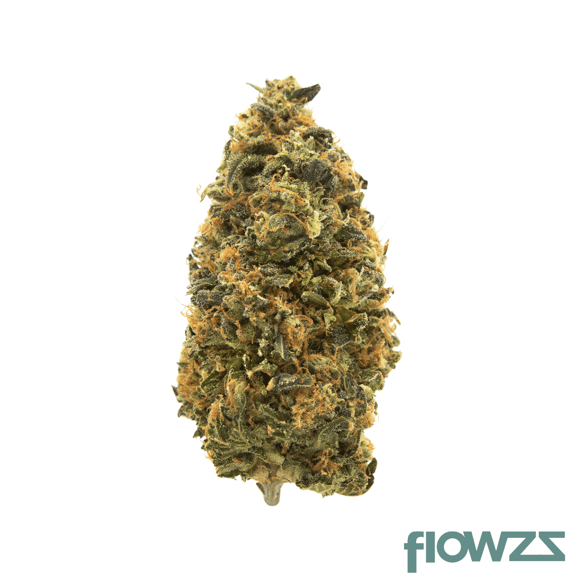 big-dreams-18-1-psf-dob-donny-burger