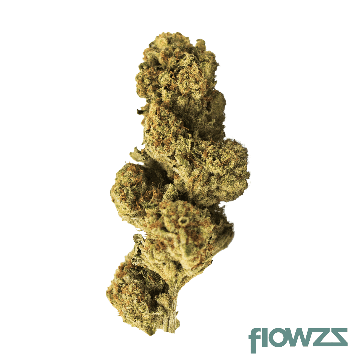 zoiks-22-1-pyb-papaya-bomb