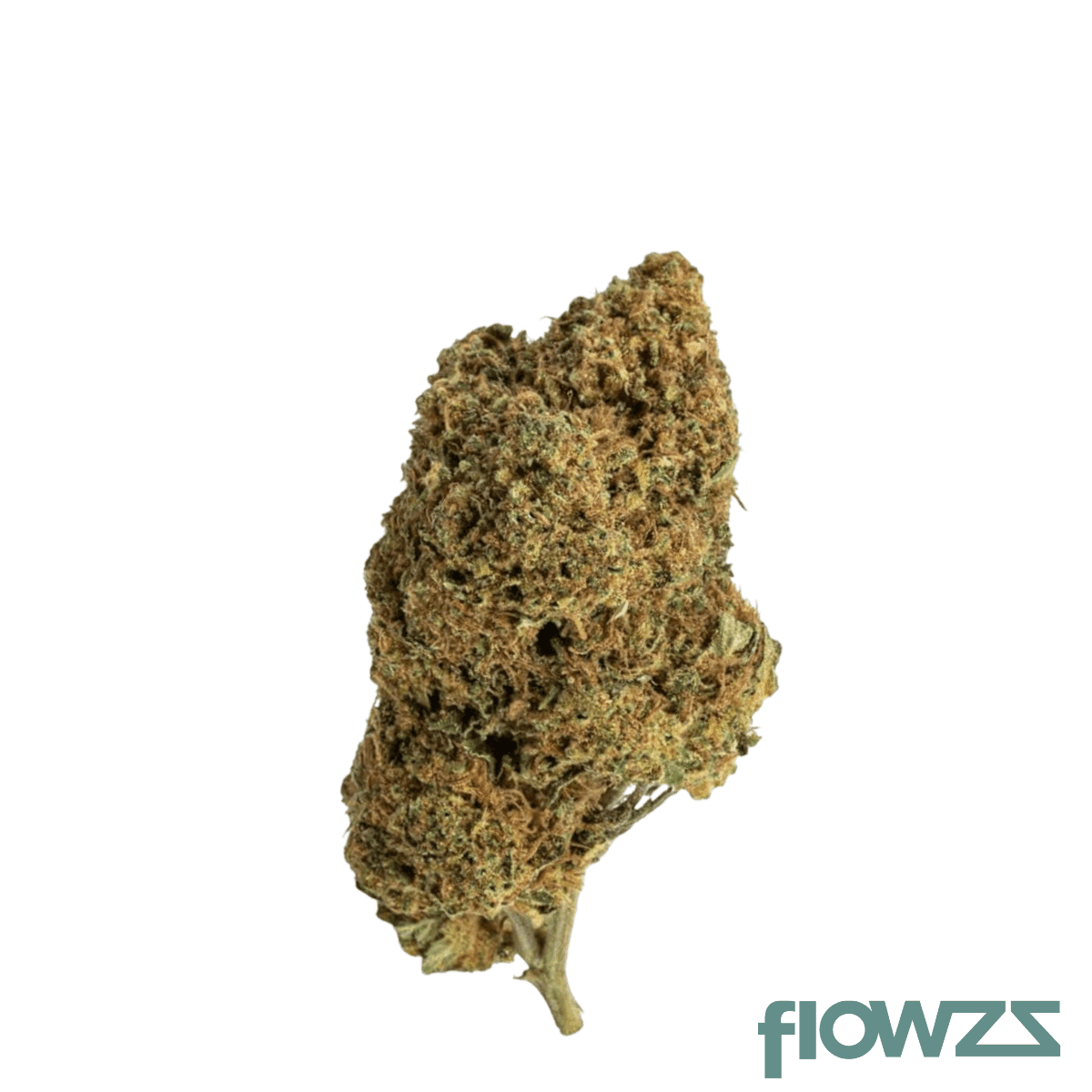 weeco-ng-1-16-nightingale