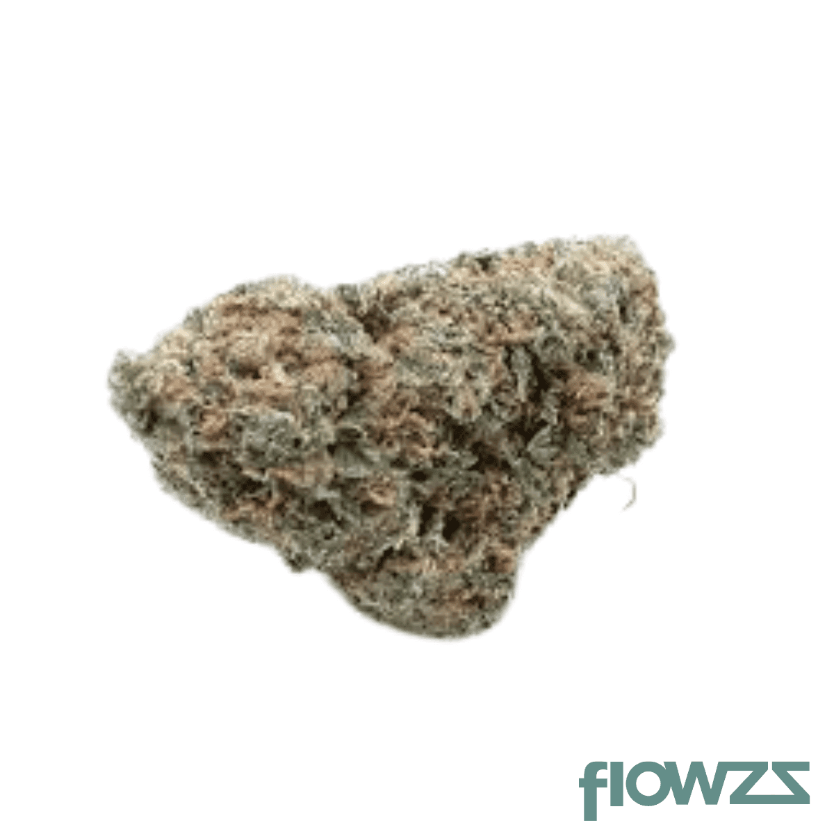 botanics-orient-bazaar-22-1