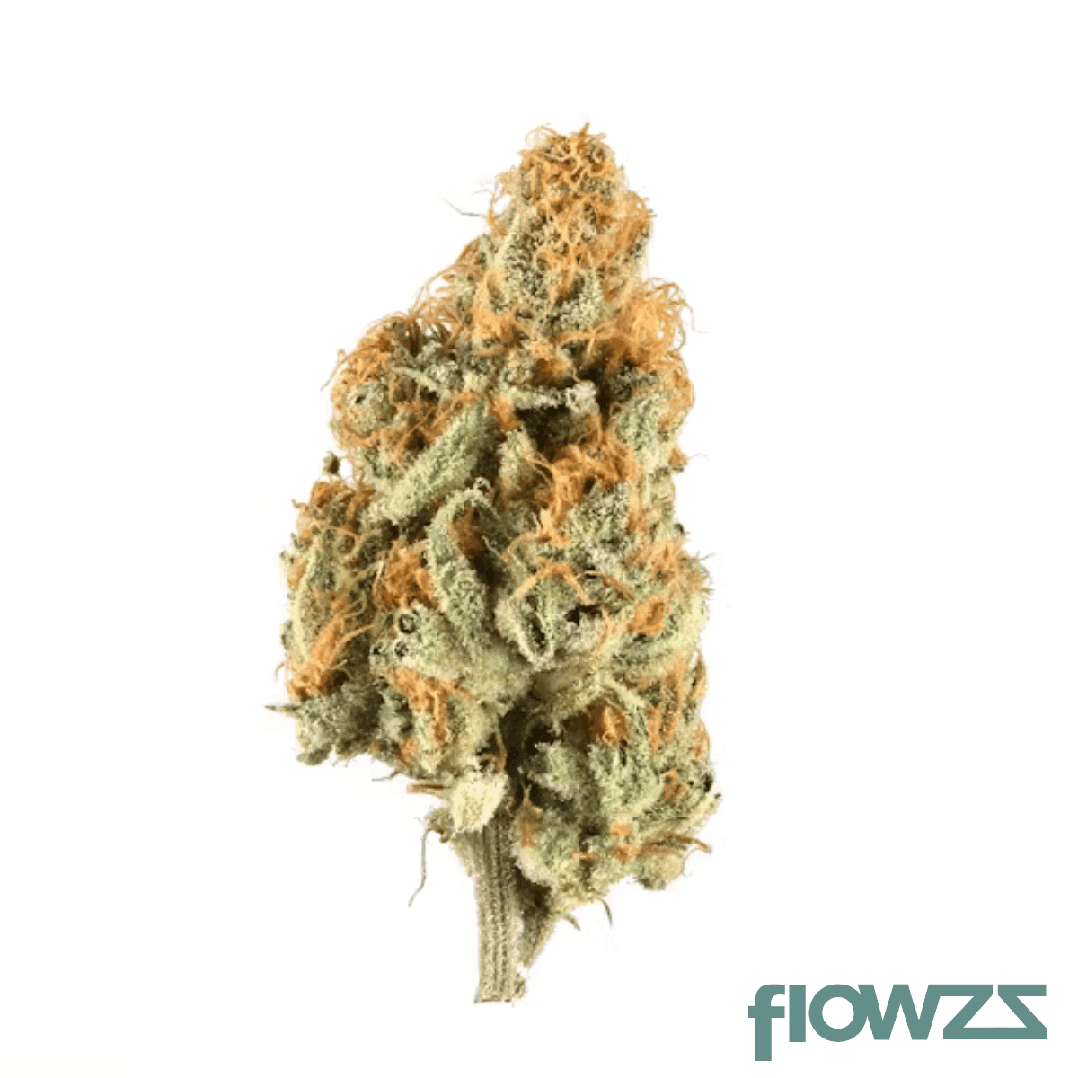 buuo-26-1-sl-key-lime-kush-sexy-limes