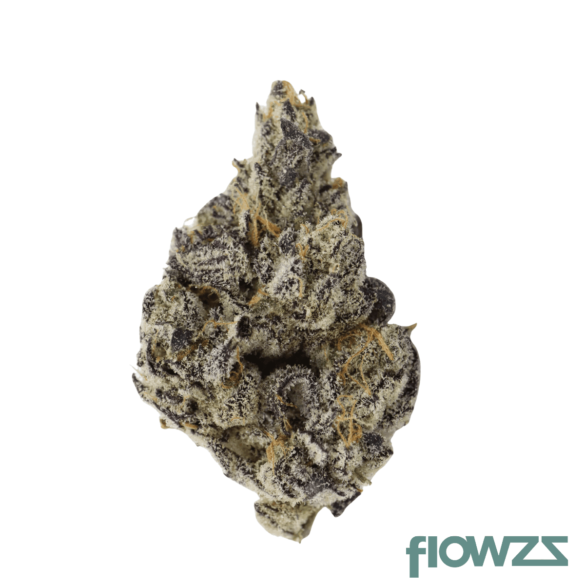 remexian-33-1-flv-flawless-victory