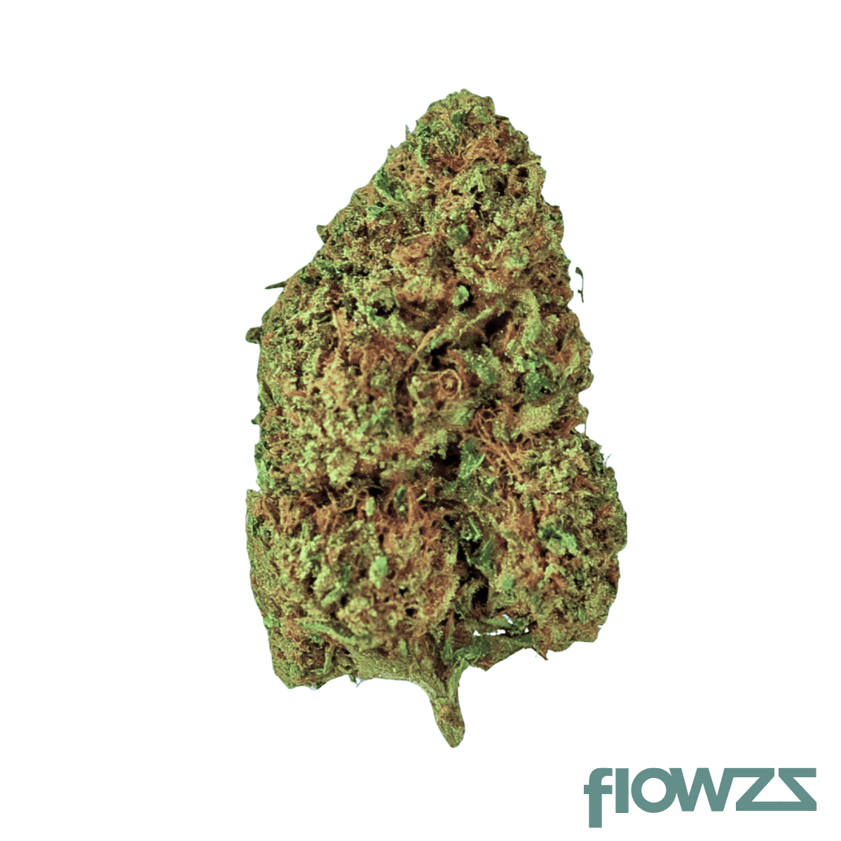 avant-24-1-ccr-lemon-jane