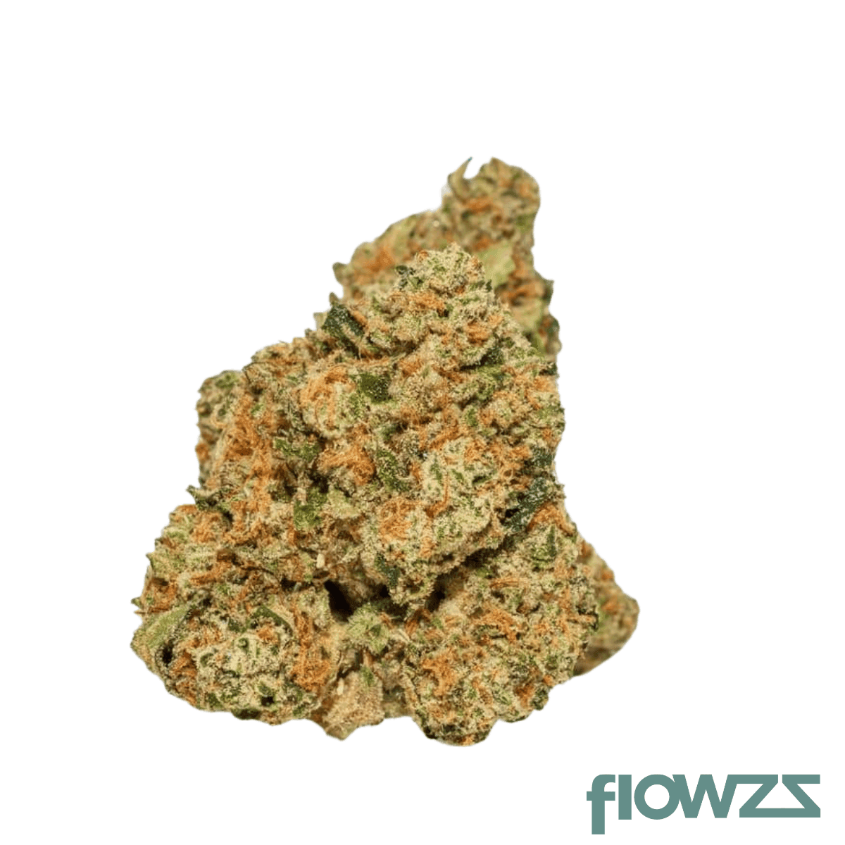 big-dreams-21-1-mic-icc