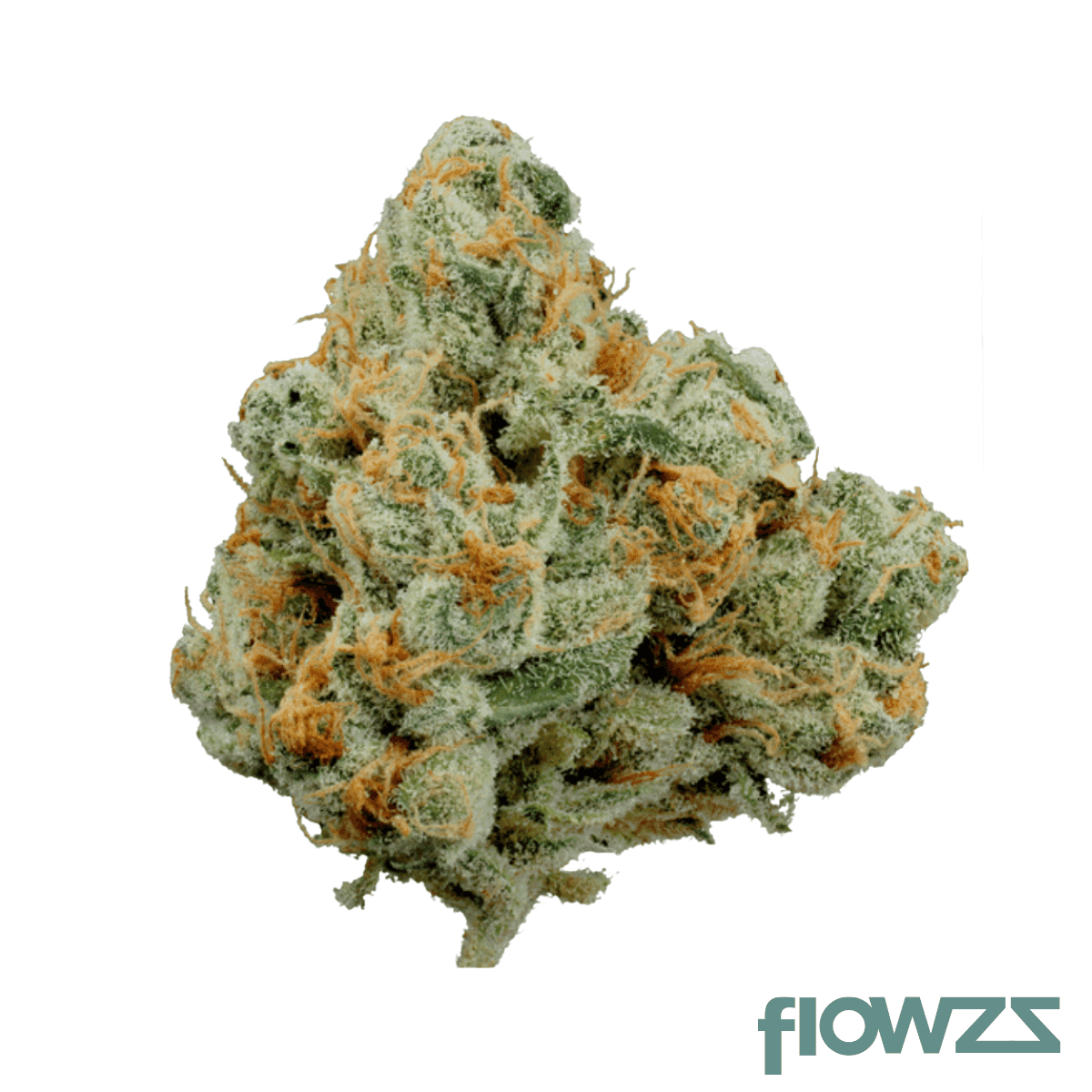 nedcann-jog-25-01-joker-og