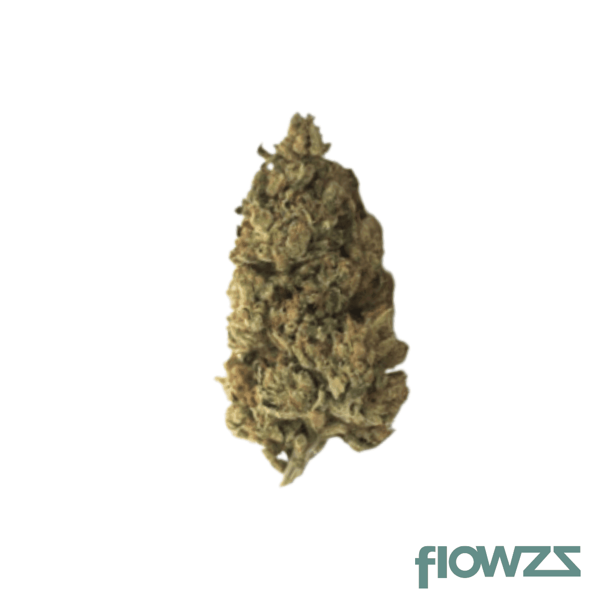 nice-22-1-js-jack-skunkset