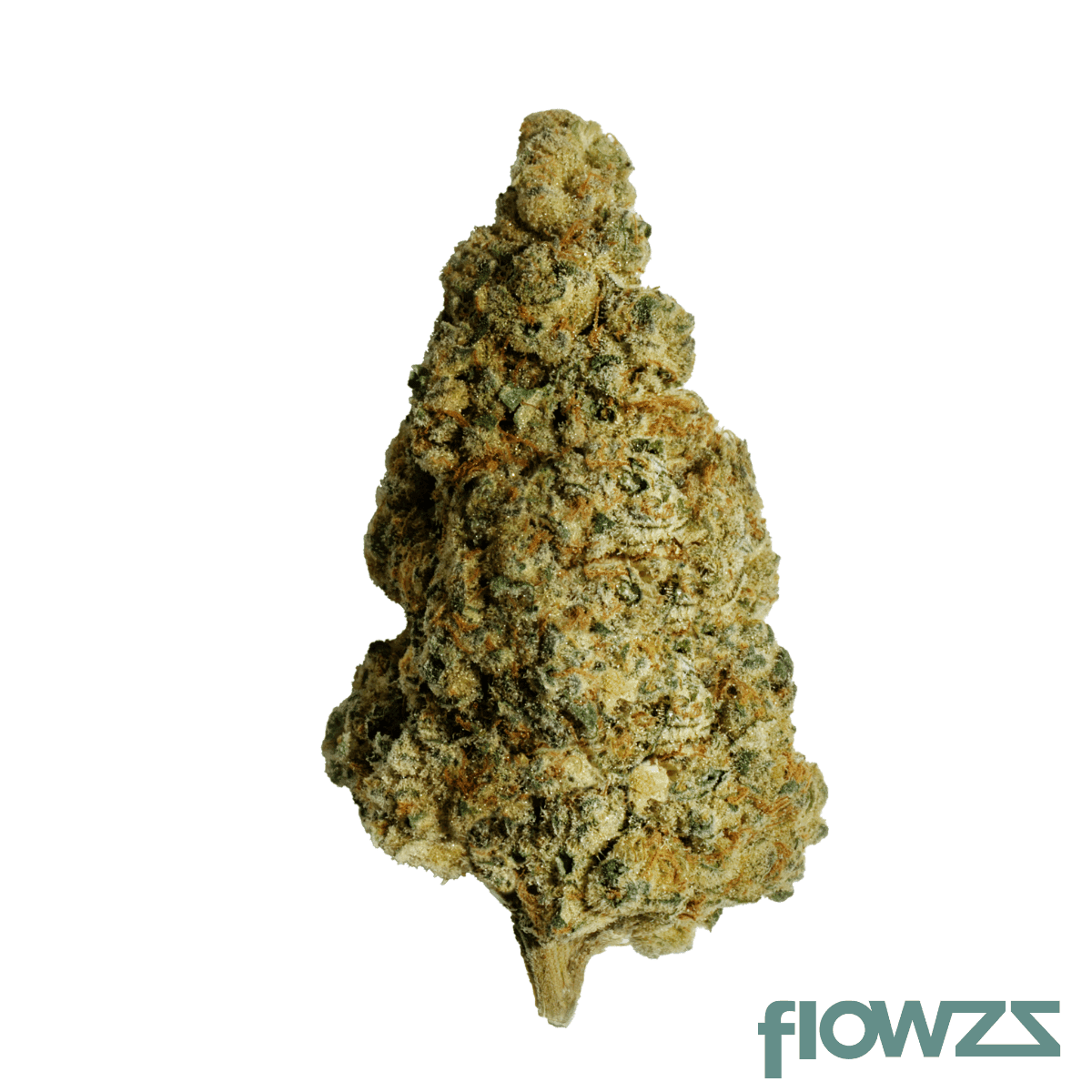 zoiks-26-1-bb-ben-berries