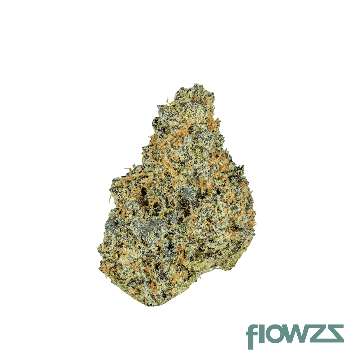 biscotti-jealousy-flower