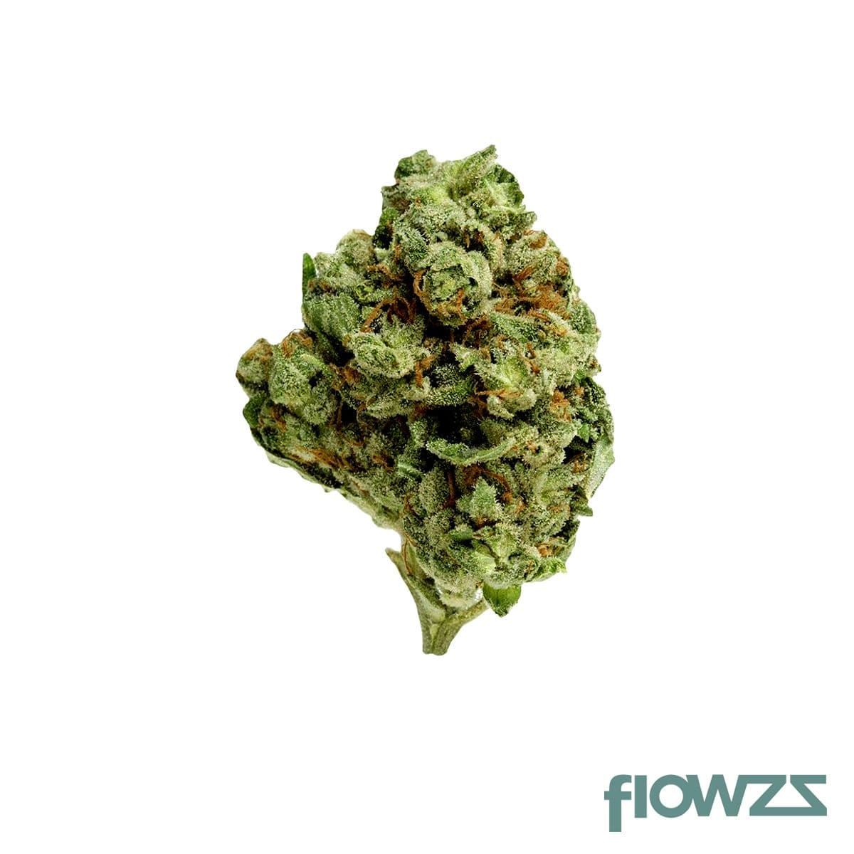 22/1 Vayamed Ghost Train Haze - flowzz.com