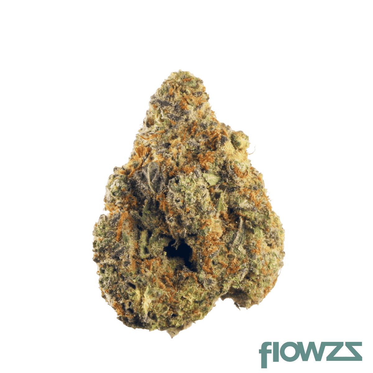 imc-nch-thc18-nag-champa