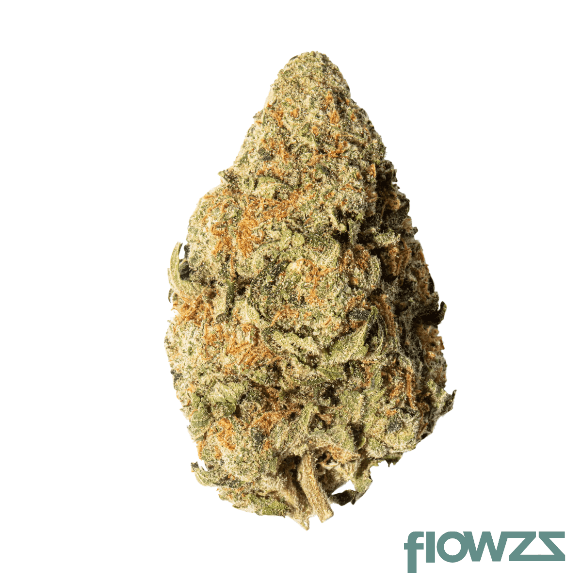 all-nations-pe-21-1-pineapple-express