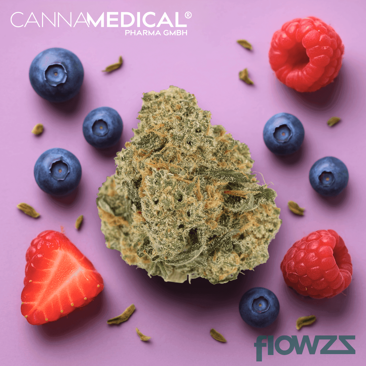 cannamedical-indica-forte-dk-sky-berry-kush