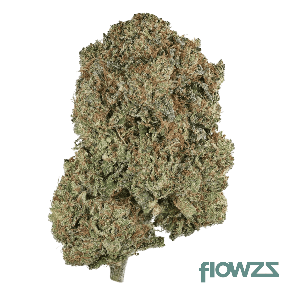 nimbus-27-1-pink-gas