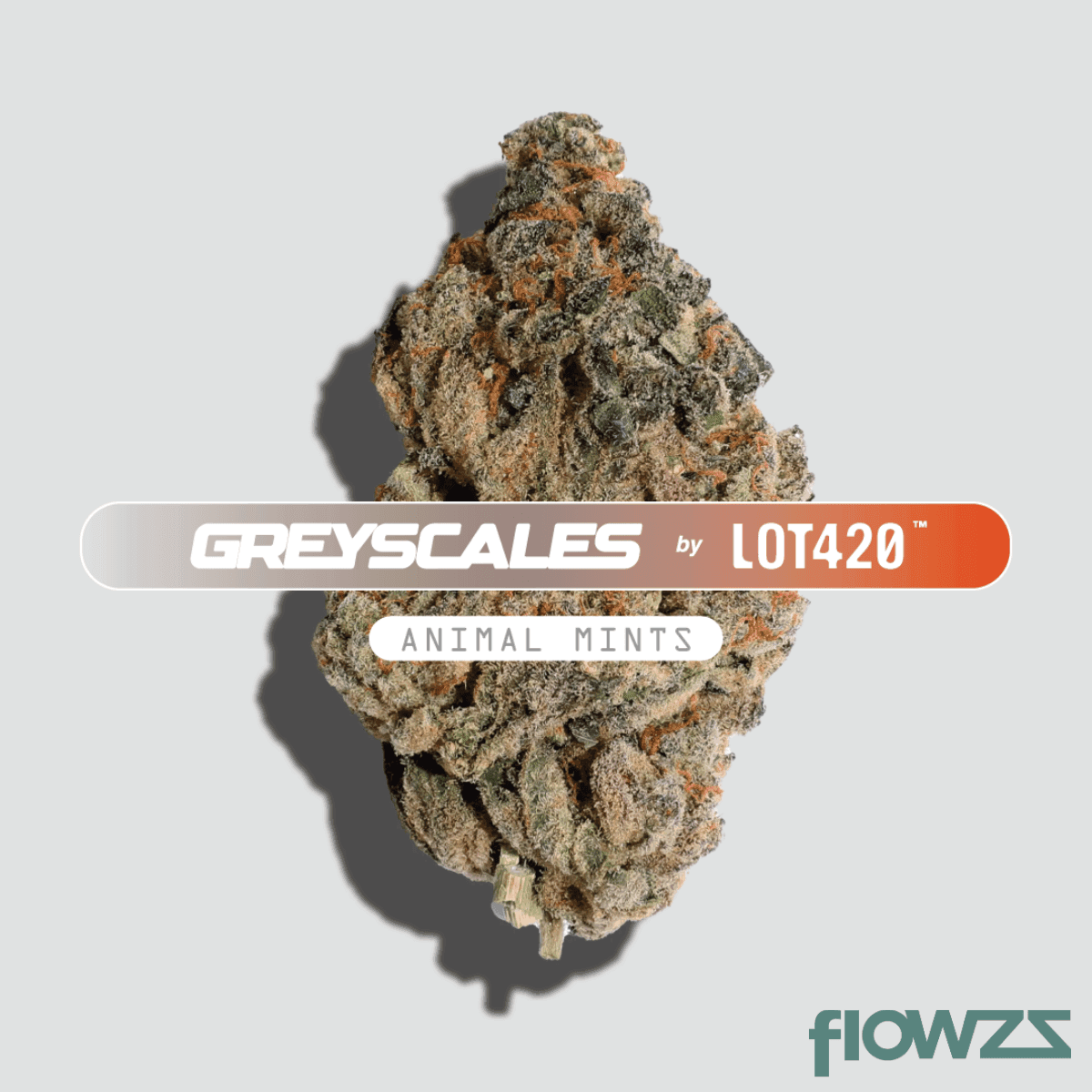 Greyscales AM 21/1 Animal Mints