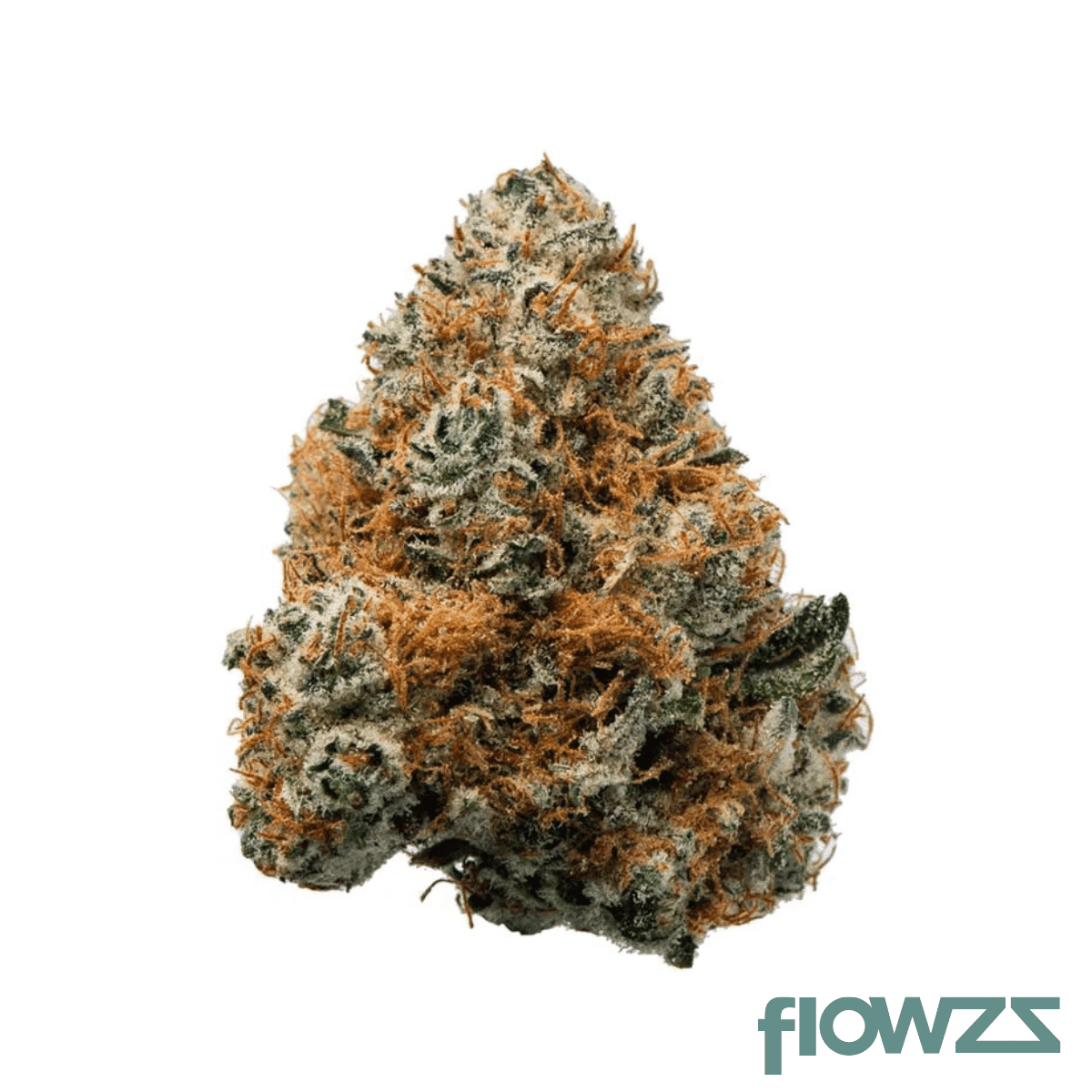 mgf-dr-26-dark-rainbow