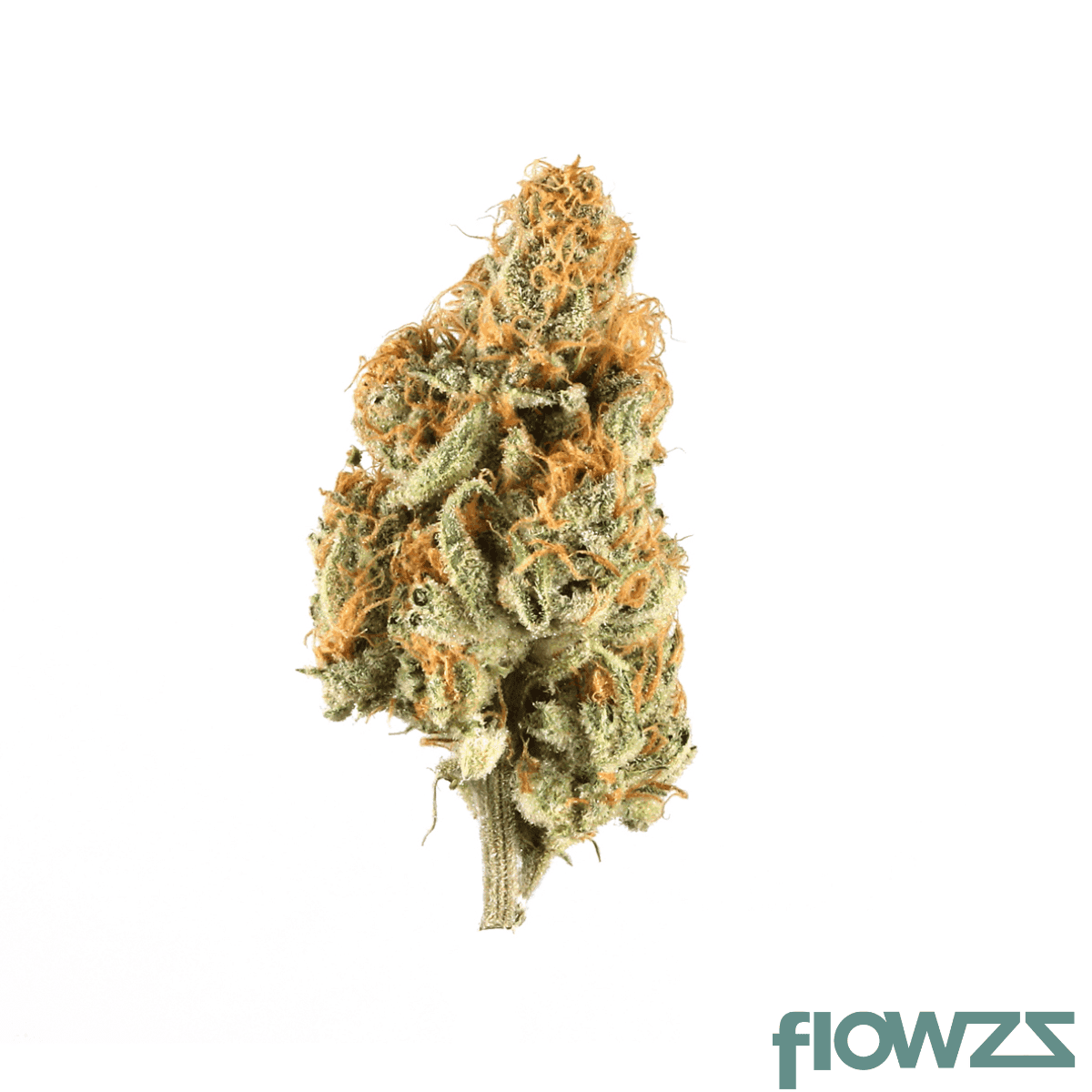 zoiks-26-1-lk-og-lime-kush