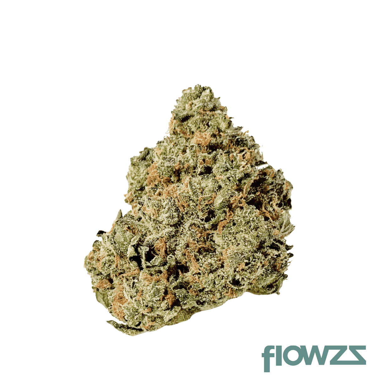 barongo-26-1-dr-gastro-pop