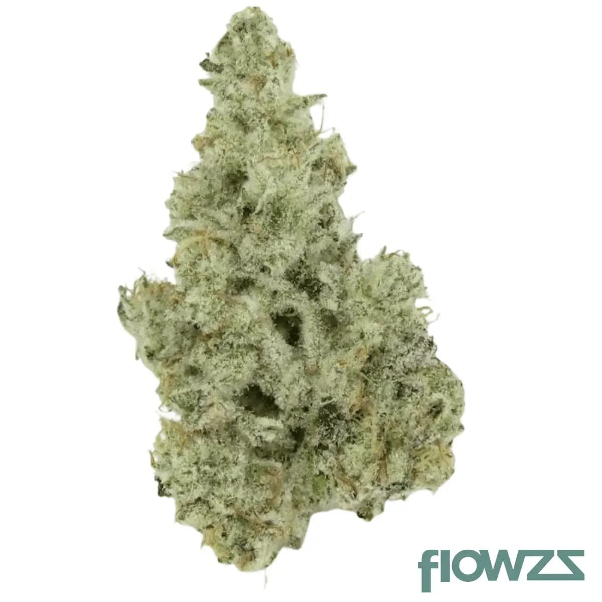 Miracle-Mint-cannabis