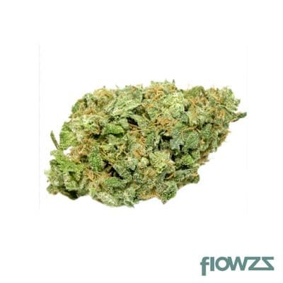 cannabis-1-a-16-1-white-widow