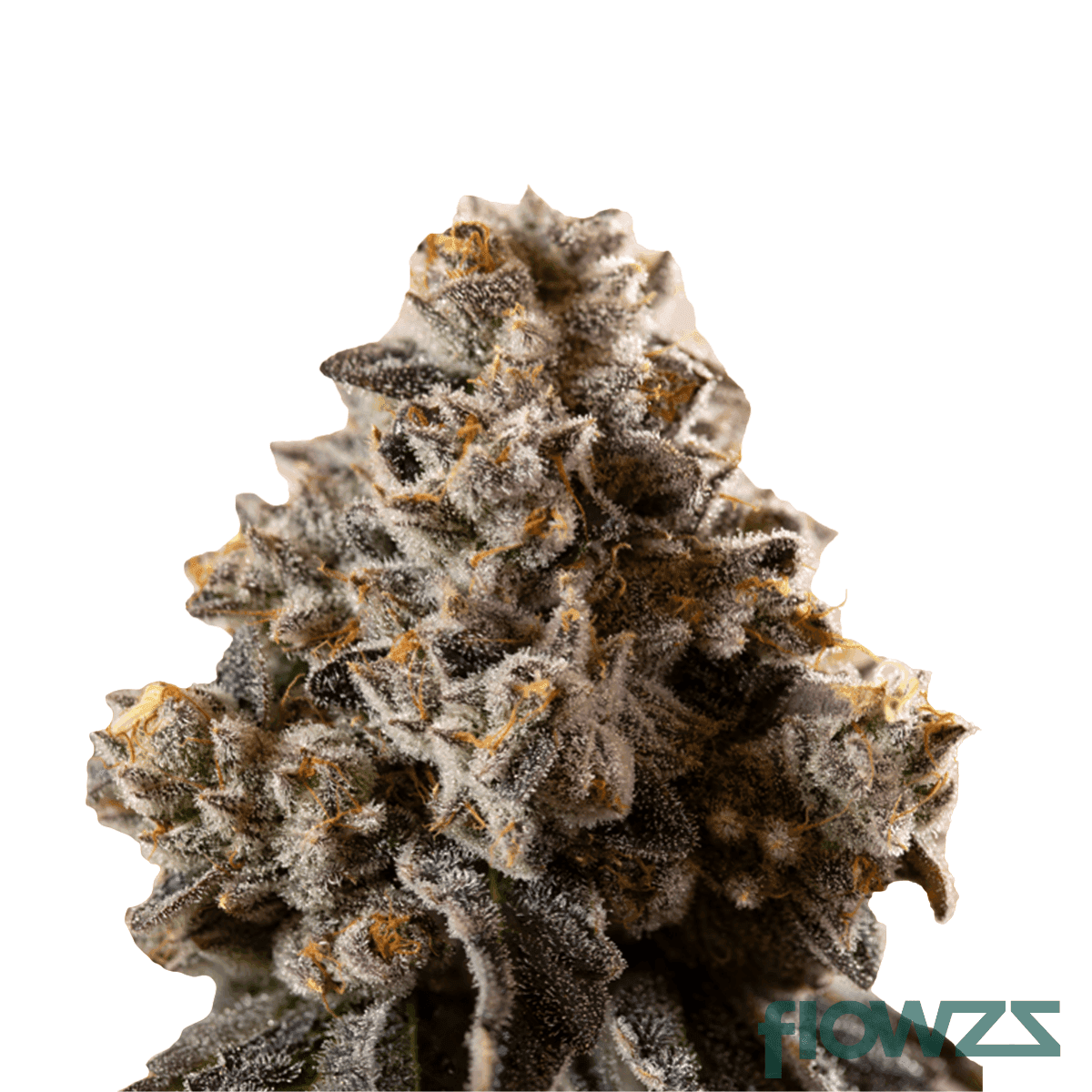 moon-rocks-cannabis-strain