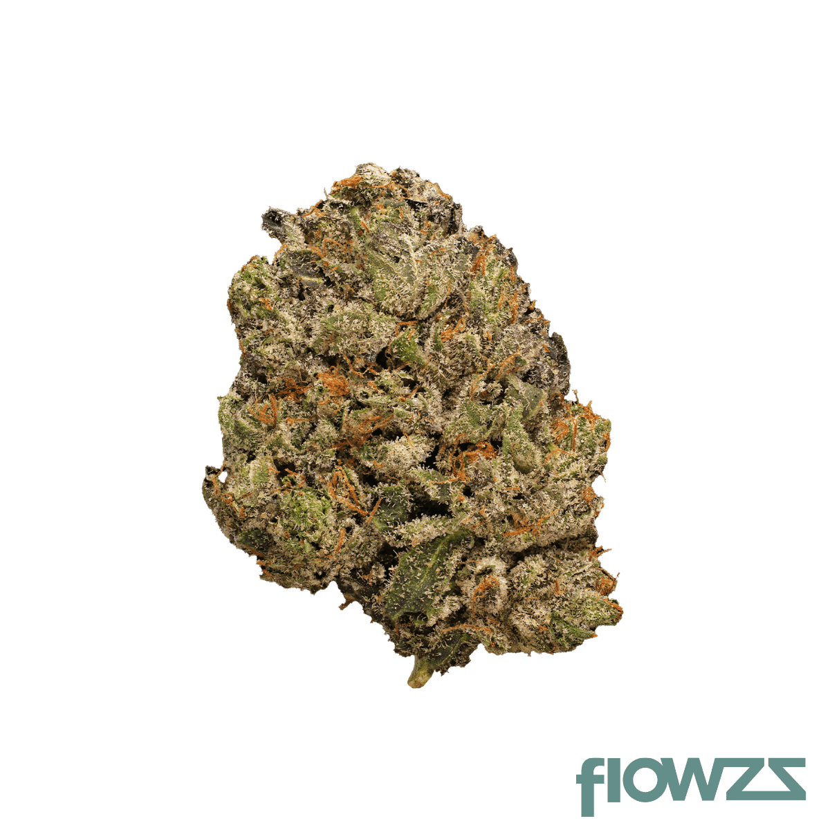 balancial-18-1-pt-s1-old-skool