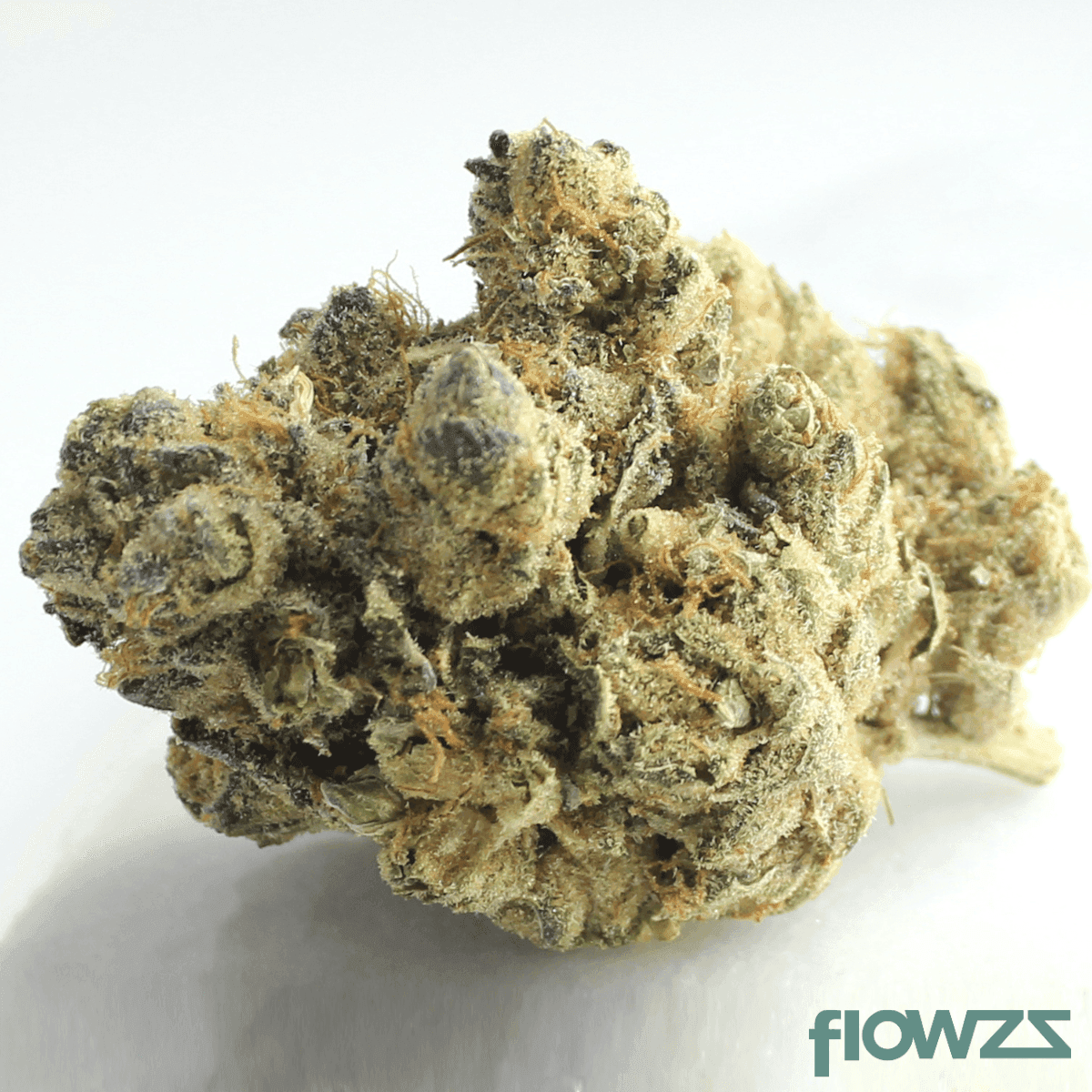 gruenhorn-cpc-25-1-cappuccino