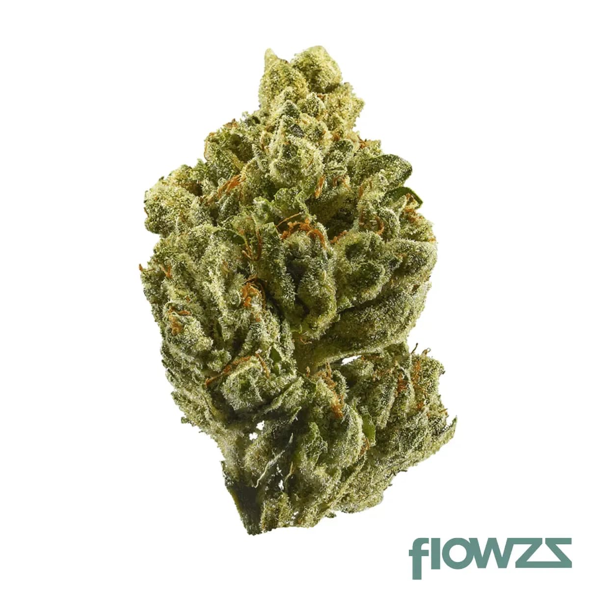 cannamedical-cm-20-1-og-kush