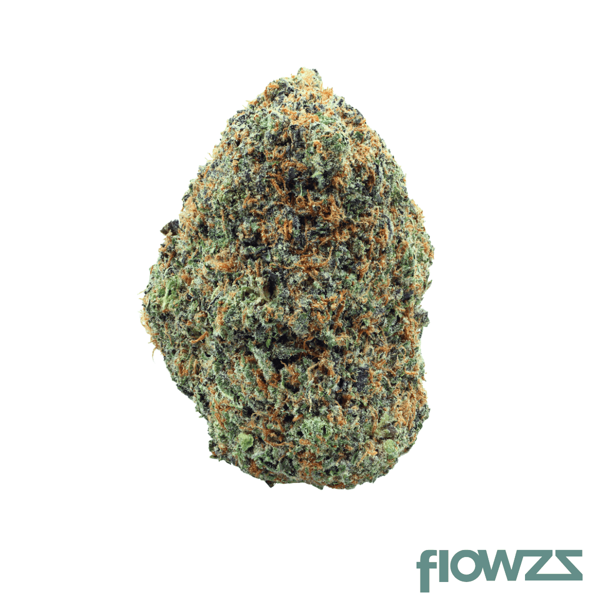 social-choice-15-1-gro-fbd-forbidden-dream