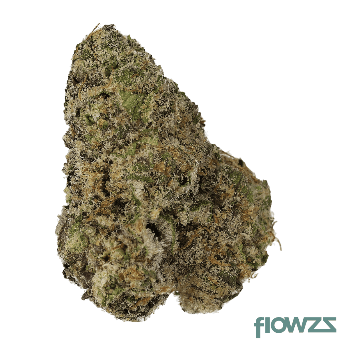 Cannamedical Sativa forte NM Wedding Tree zum besten Preis