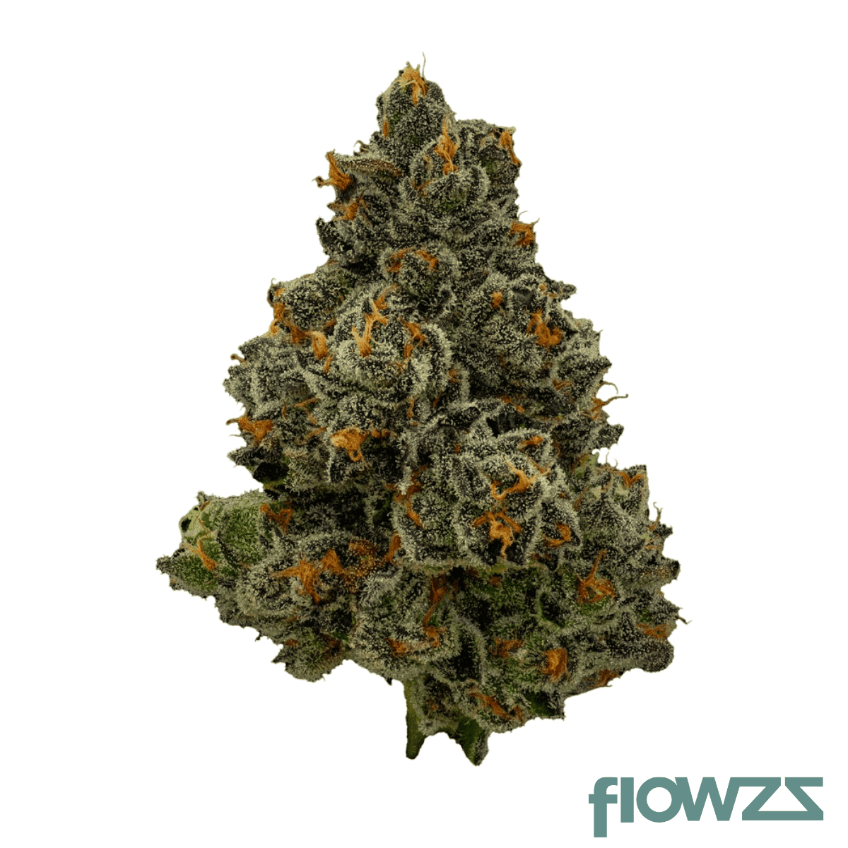 demecan-mc-regular-drop-26-1-gaschata