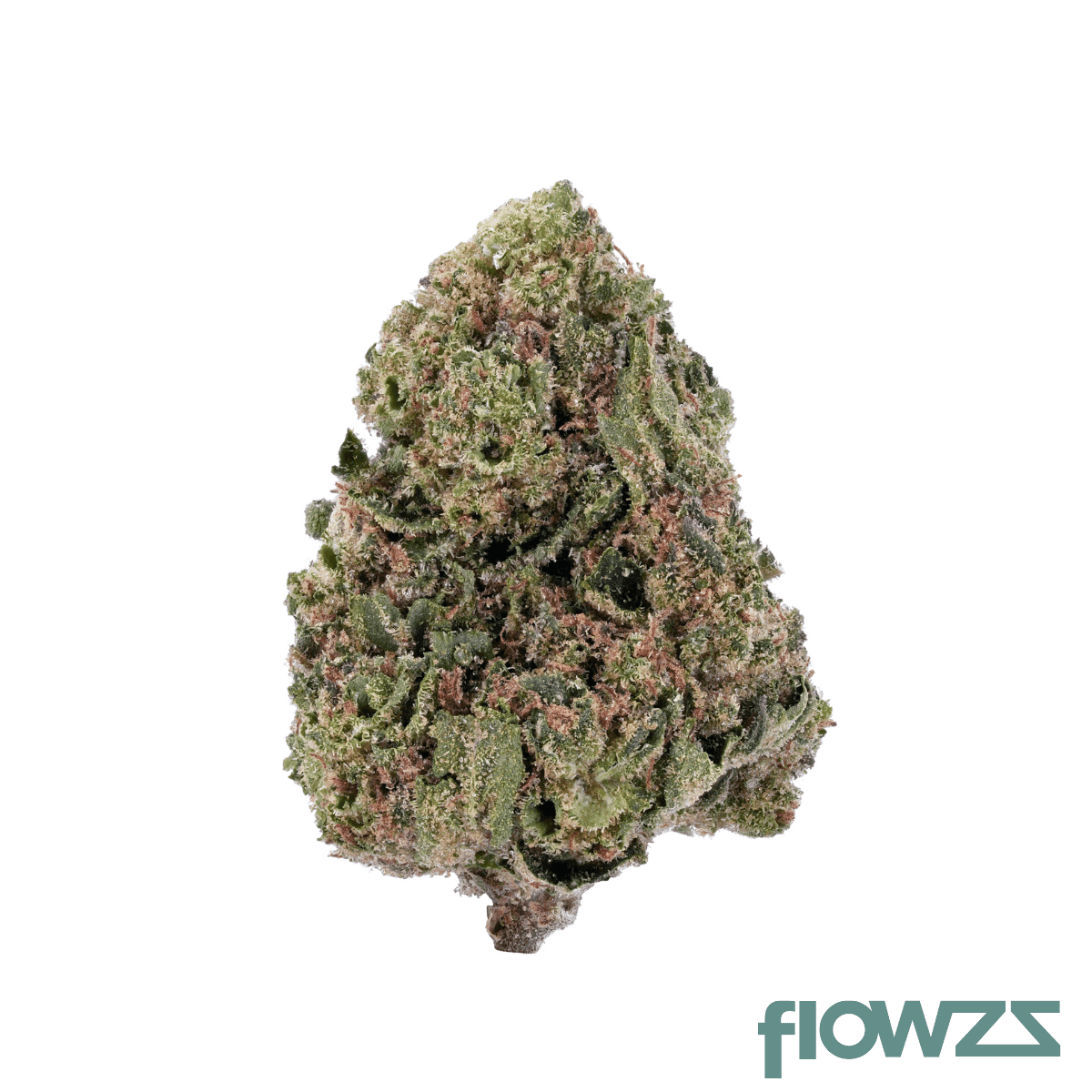 imc-fac-thc26-selected-tangie-pave