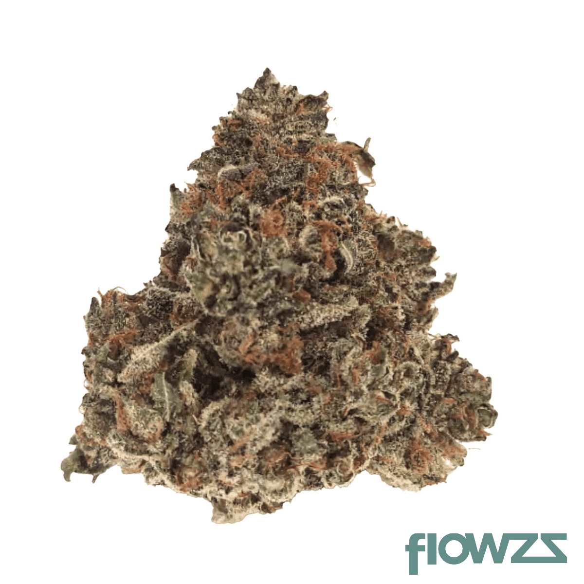 nimbus-easy-20-1-gelato