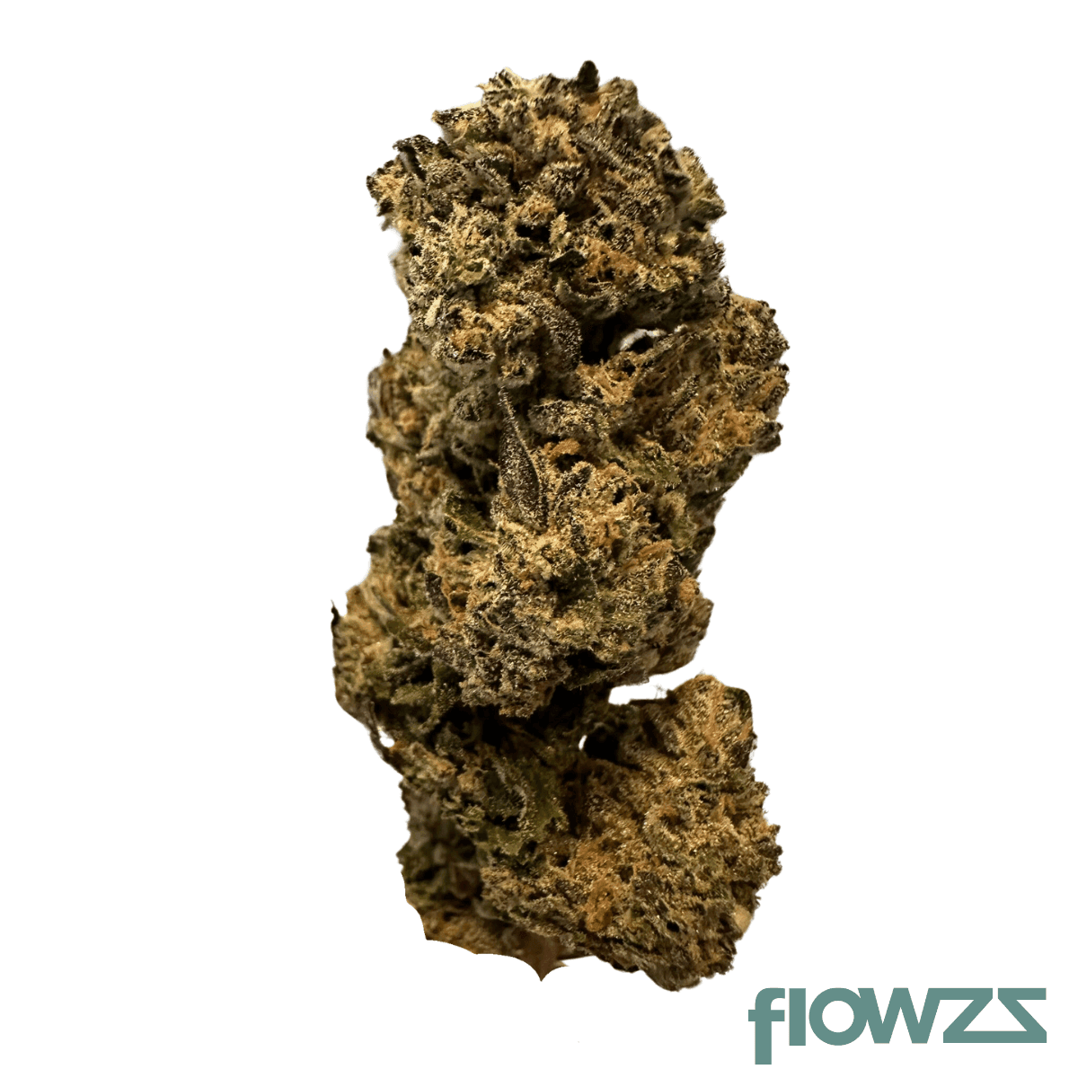 mediprocan-simba-25-1-purple-panther