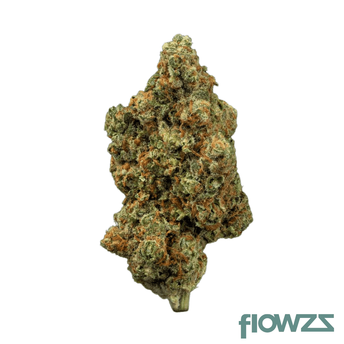 mediprocan-african-ruby-20-1-deadhead-sour-fig