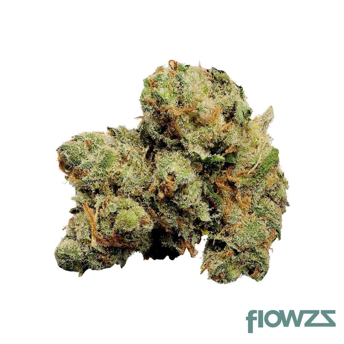 nedcann-jh-21-01-jack-herer