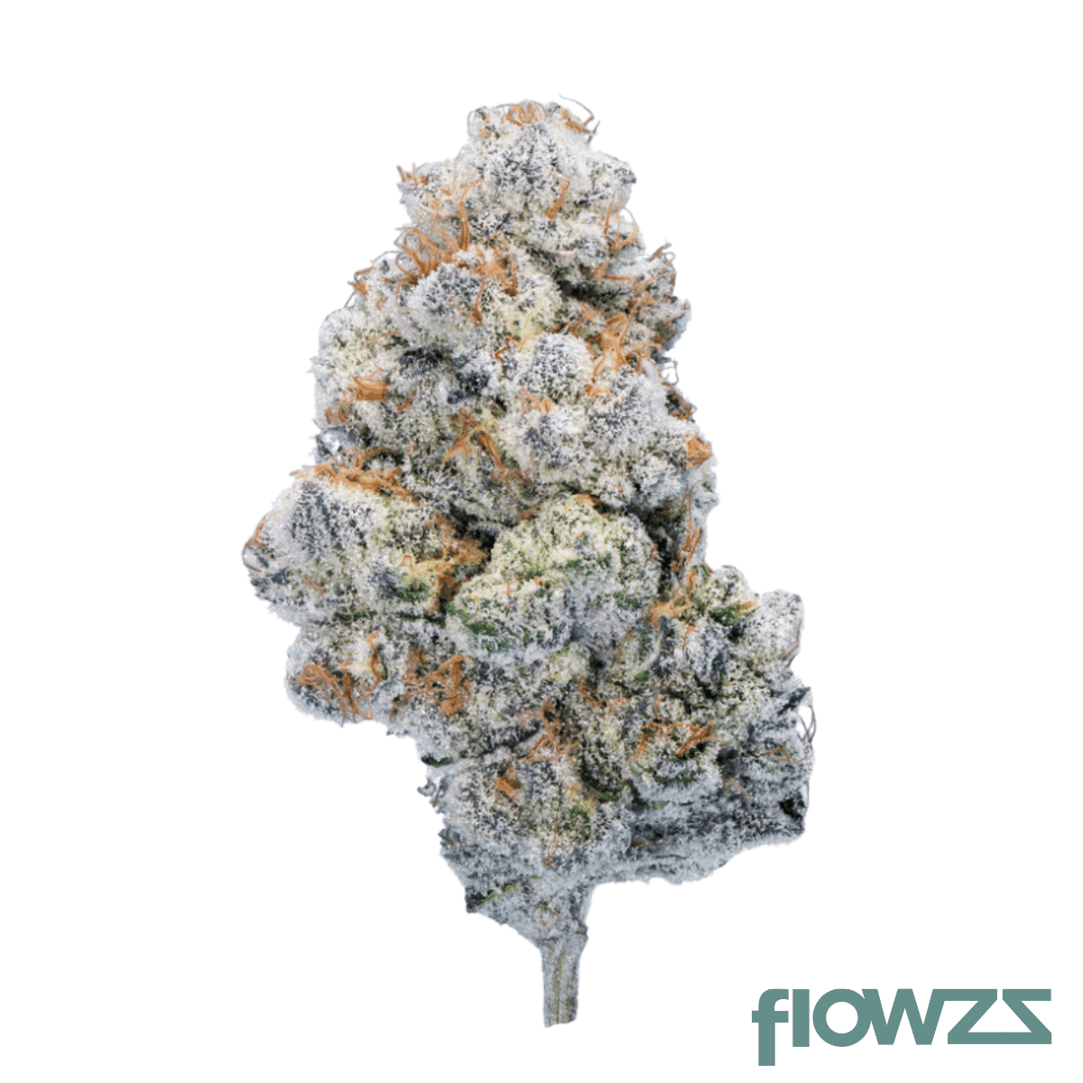 avaay-signature-28-1-gpm