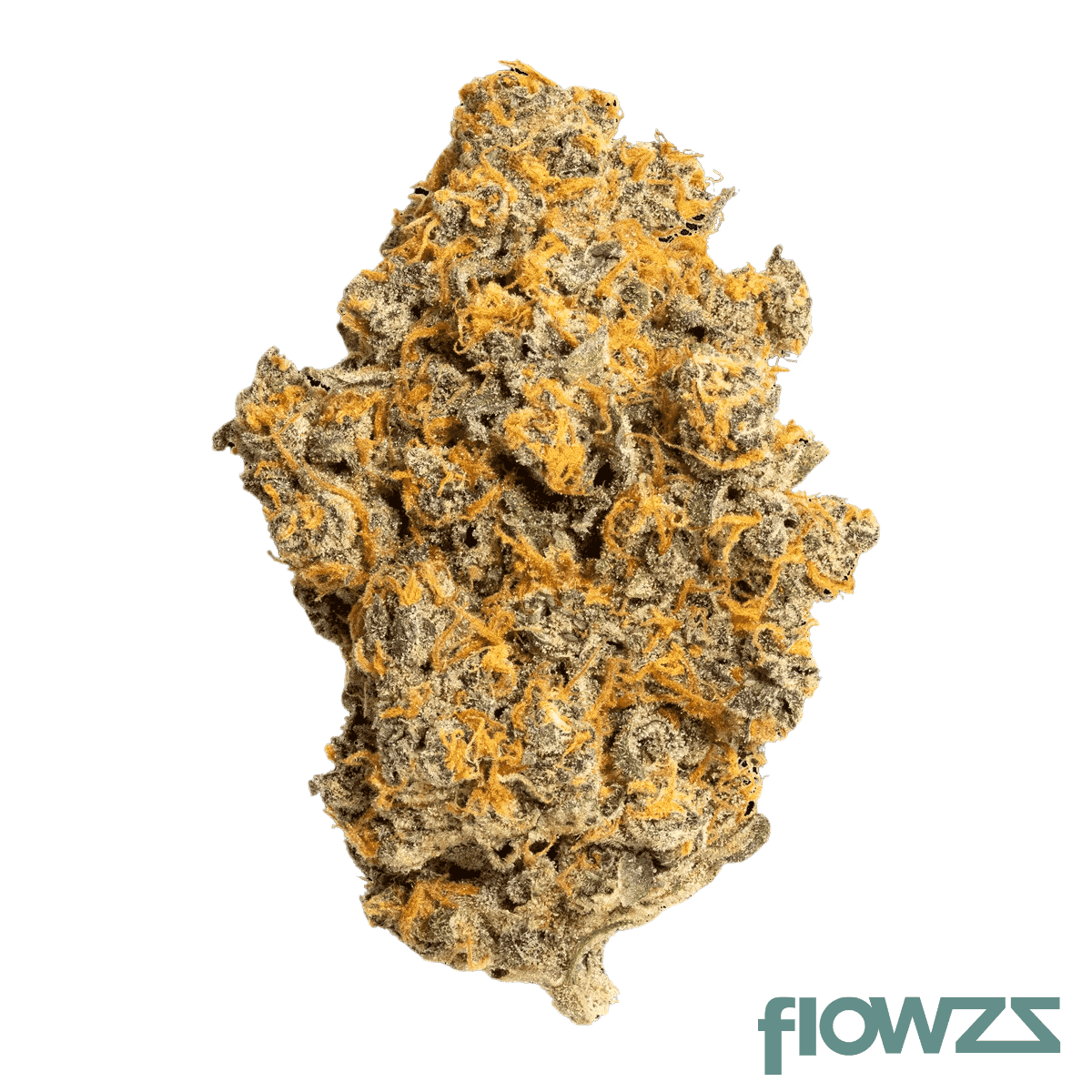 canify-27-1-cda-ku-pink-slurricane