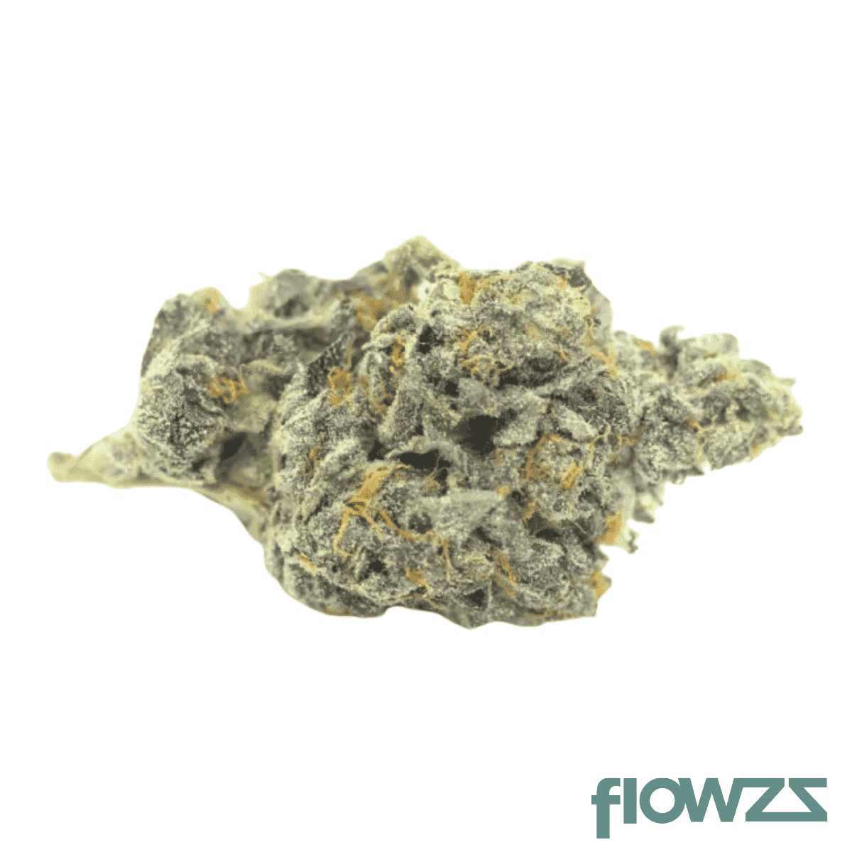 mgf-rgp-26-rose-gold-pave