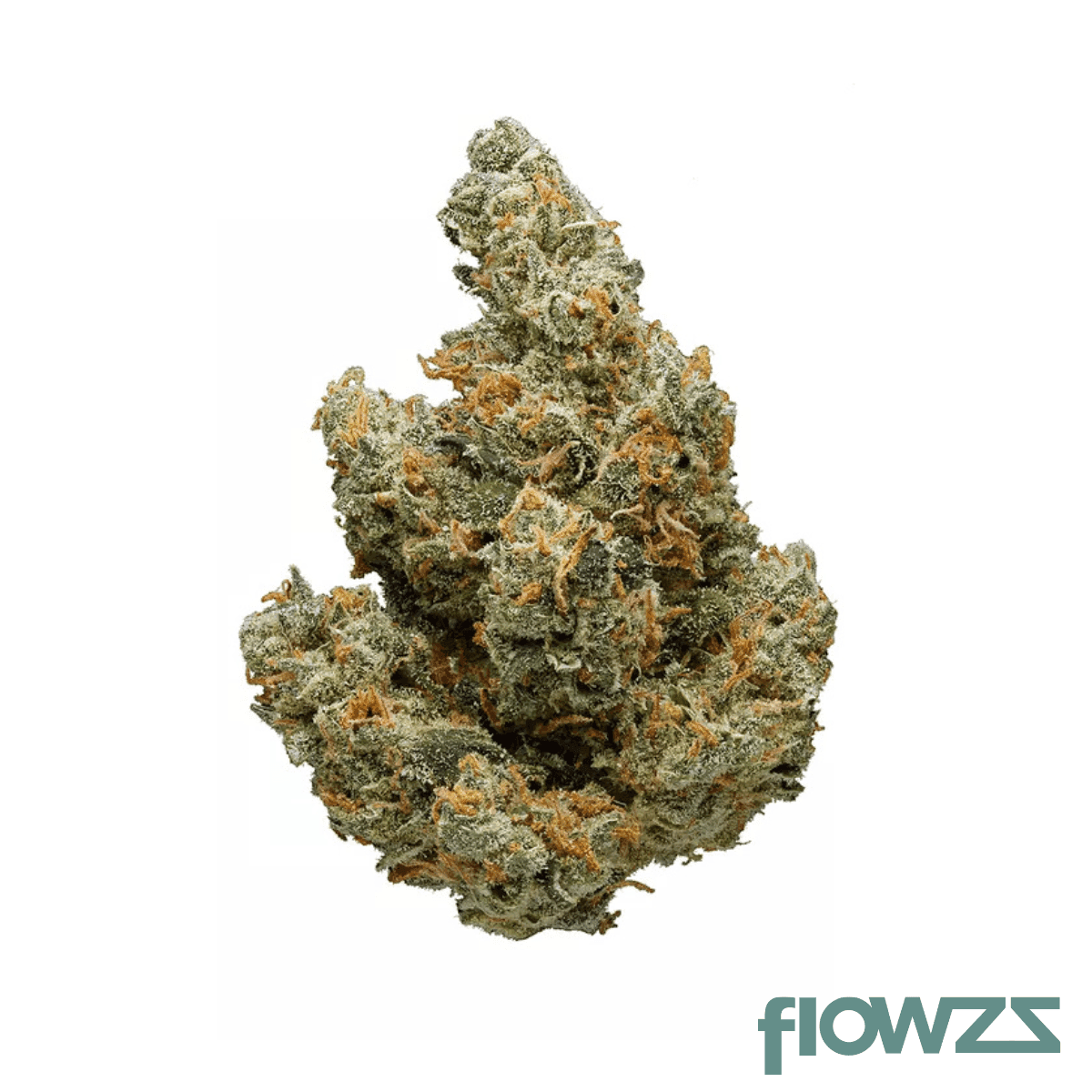 patagonia-30-1-aconcagua-haze-breath